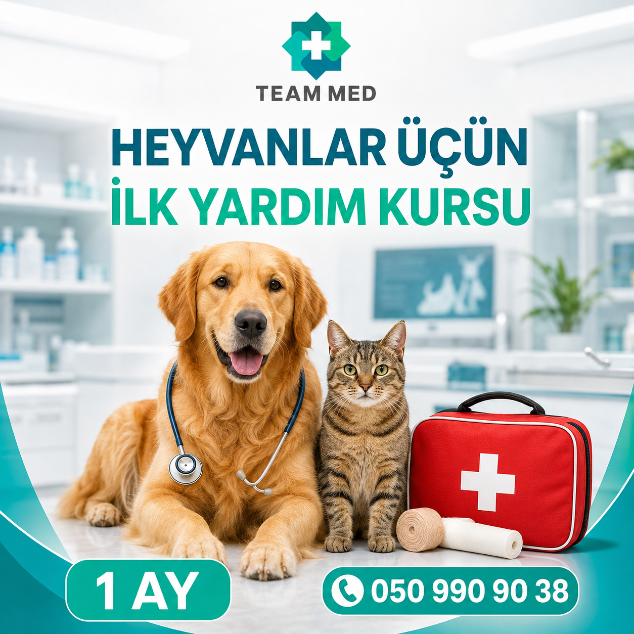 Heyvanlar üçün İlk Yardım Kursu