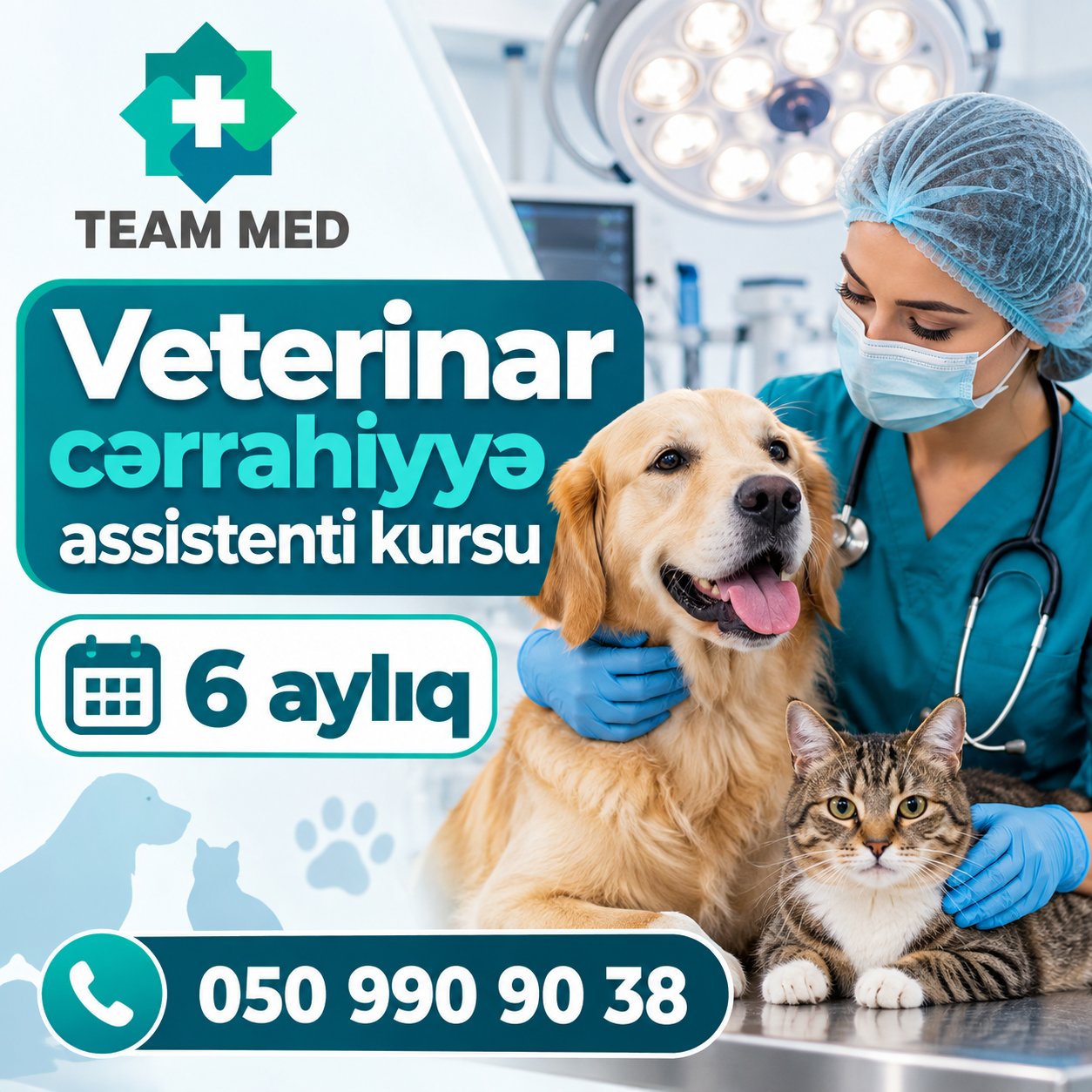 Veterinar cərrahiyyə assistenti kursu