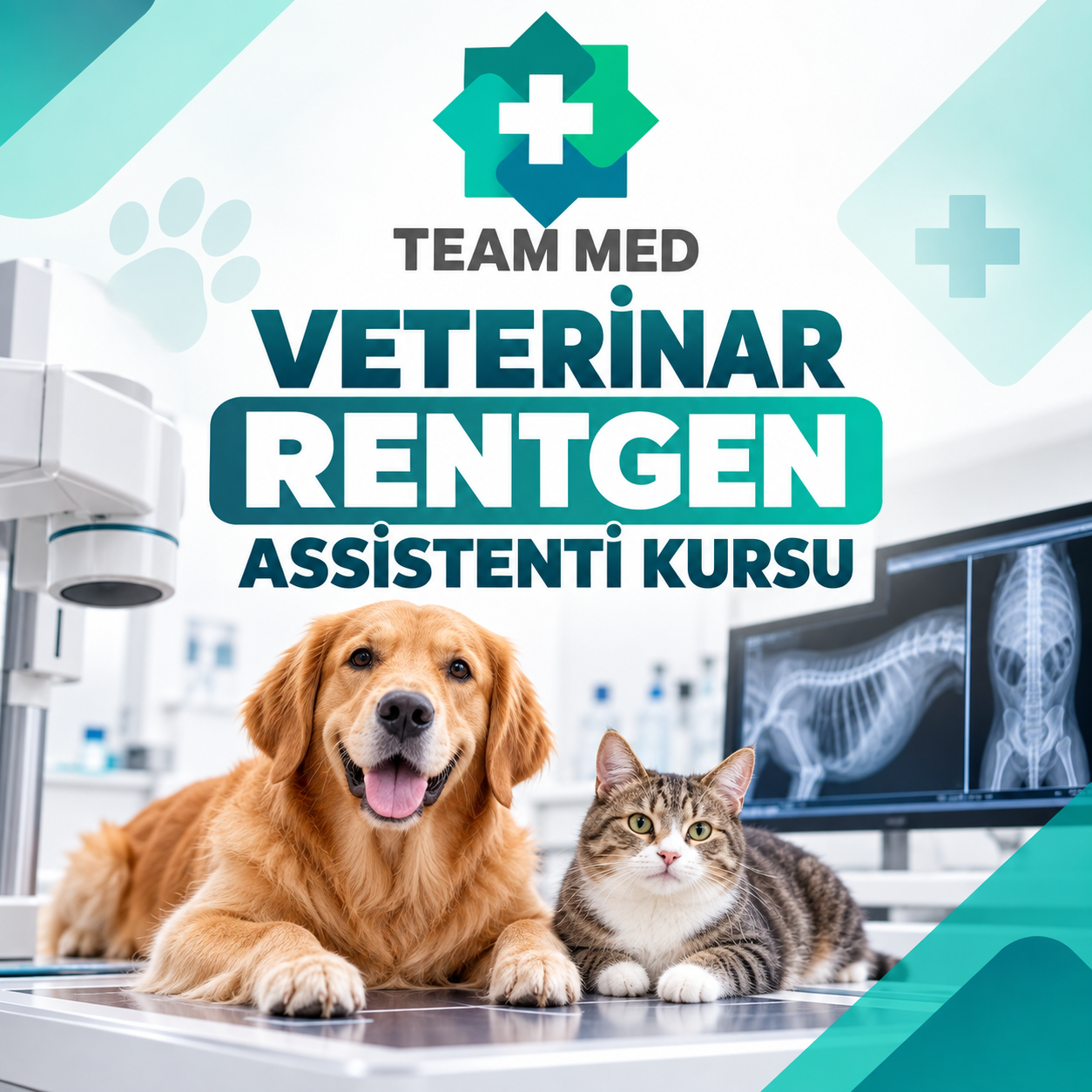 Veterinar Rentgen Assistenti Kursu