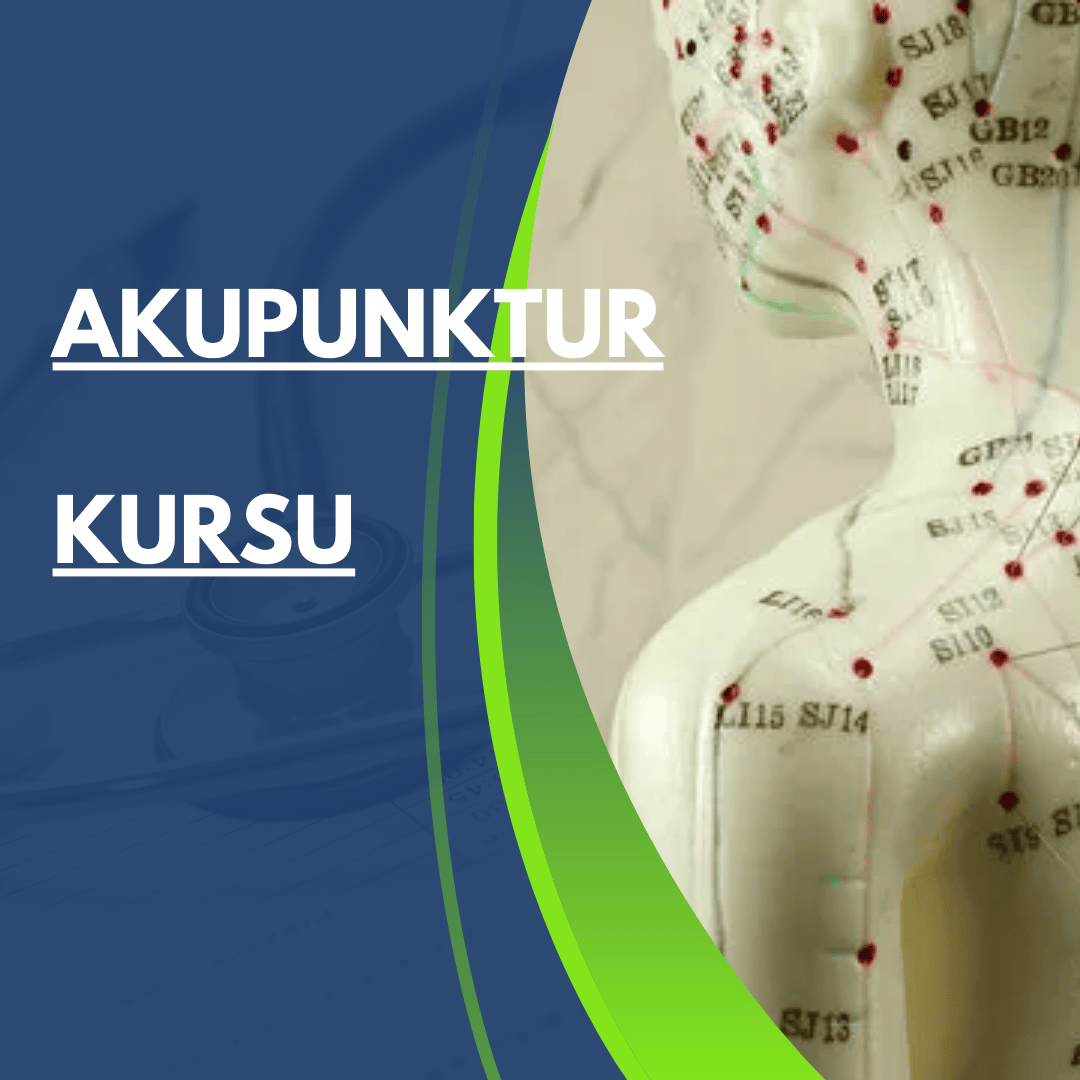 Akupunktur Kursu