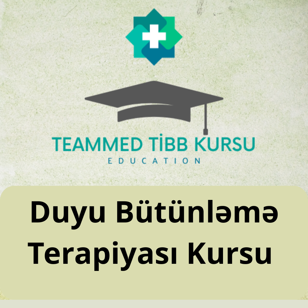 Duyu Bütünləmə Terapi Kursu
