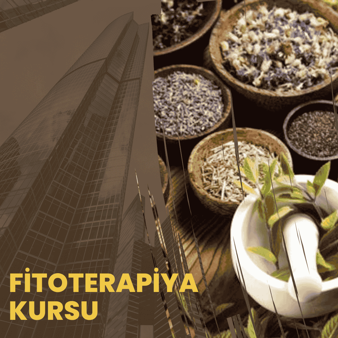 Fitoterapiya Kursu