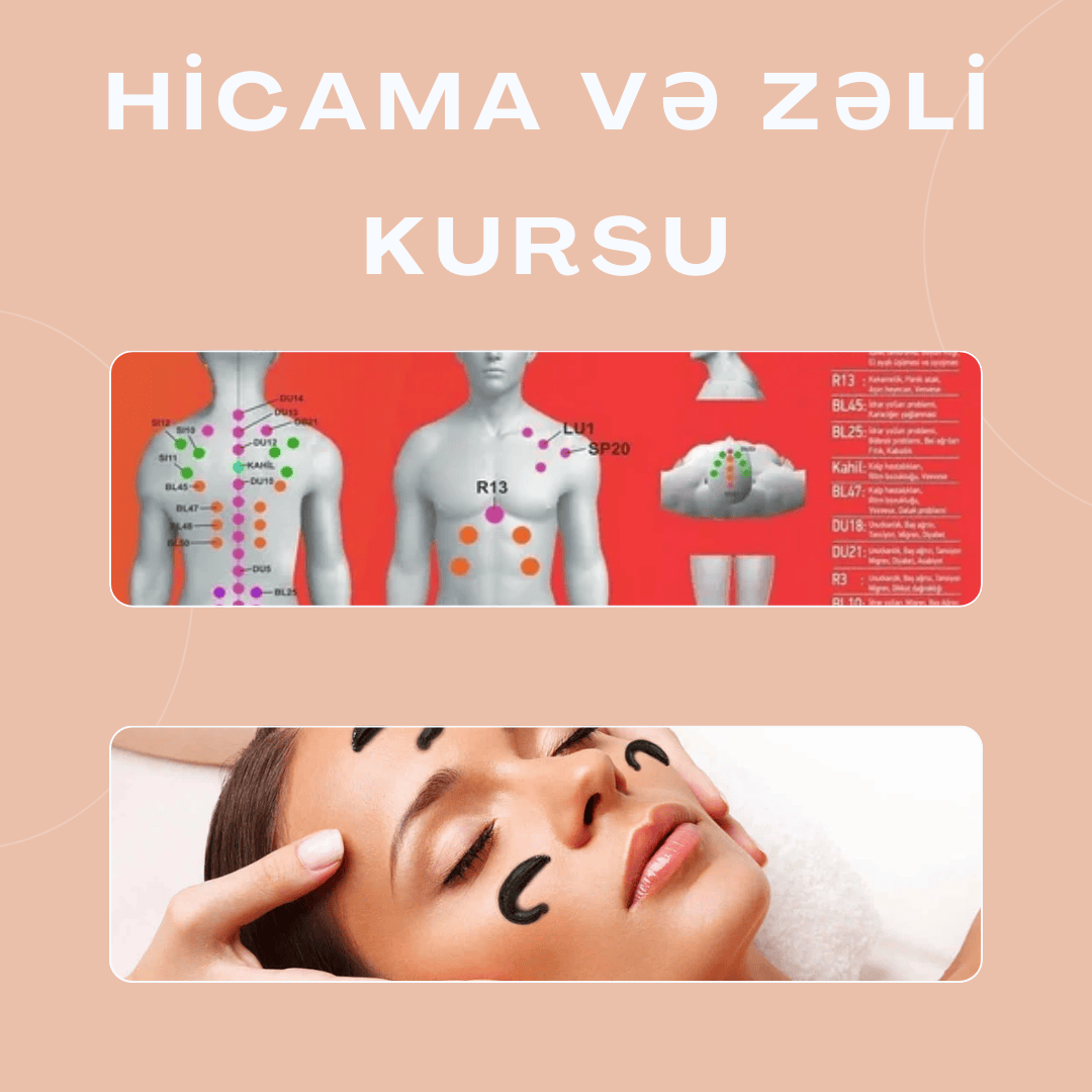 Hicama və Zəli Kursu